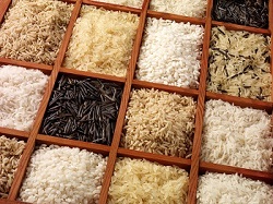 ICC WEBINAR: A new protocol for Rice Variety Identification